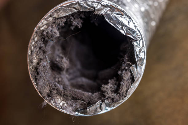 Best Air Duct Cleaning Near Me  in Havre, MT